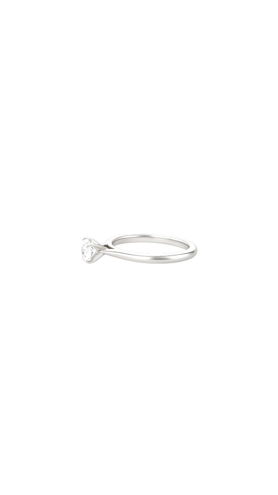 The Timeless Ring view 2