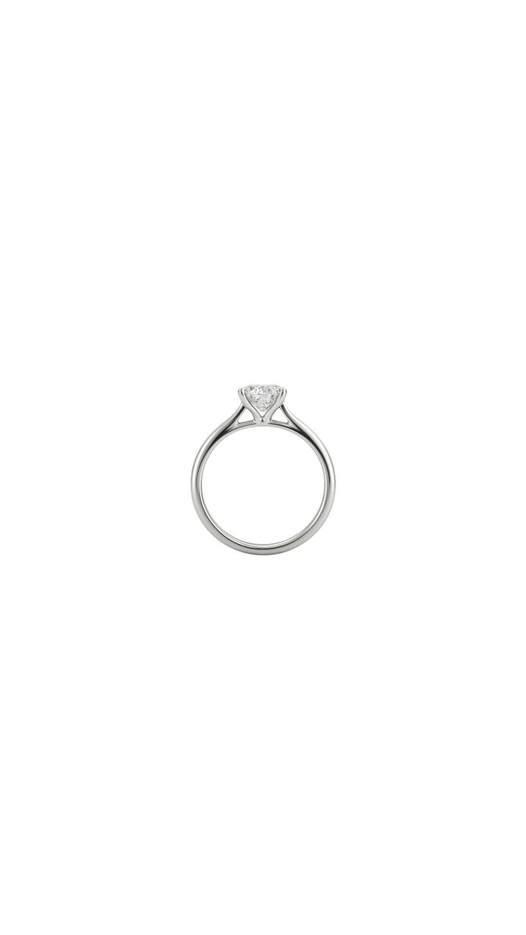 The Timeless Ring view 3